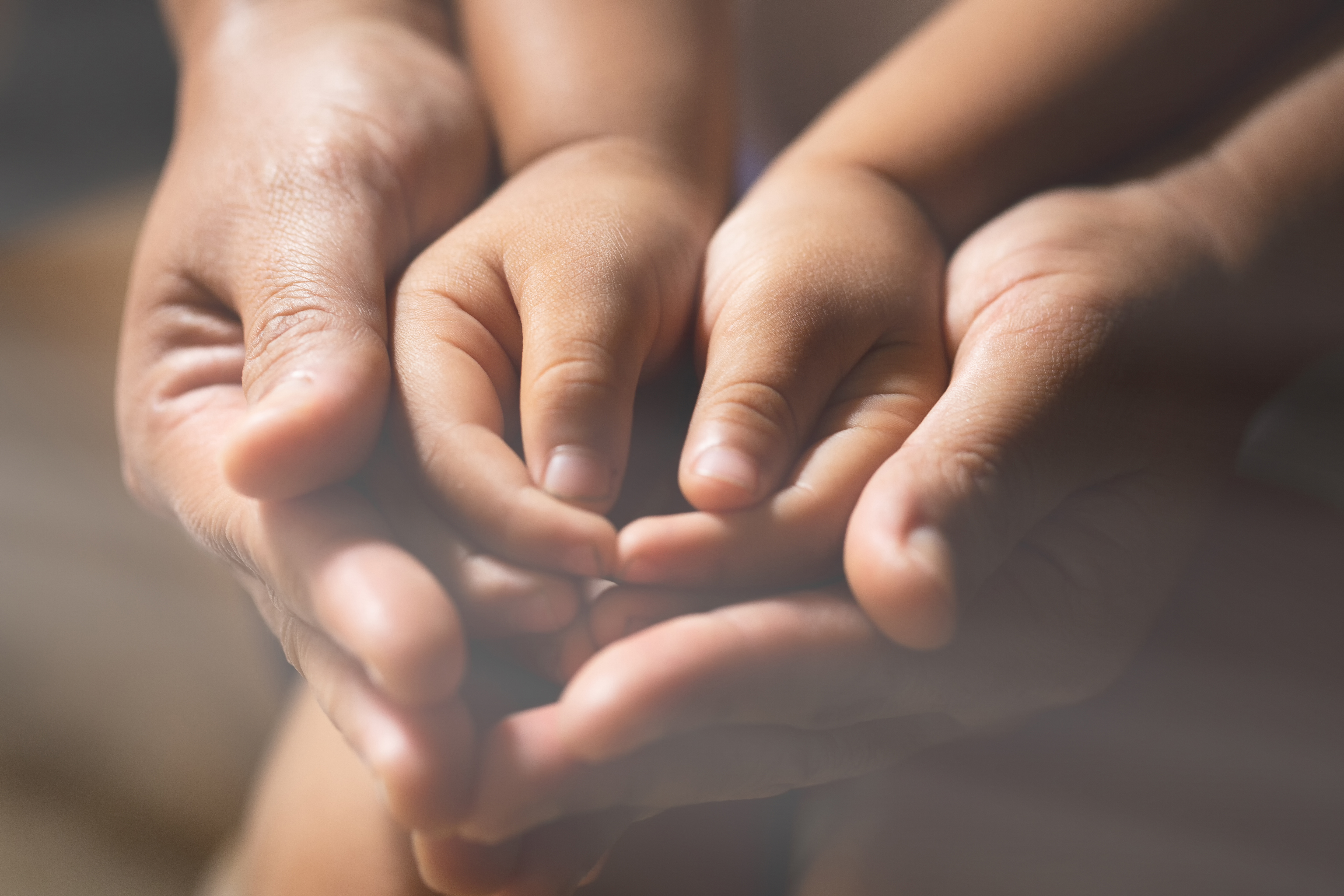 a pair of cupped baby hands surround by a pair of adult hands